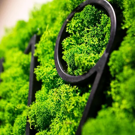 Elva Premium Inklusive Sommerpass Stubai Super Card Neustift im Stubaital