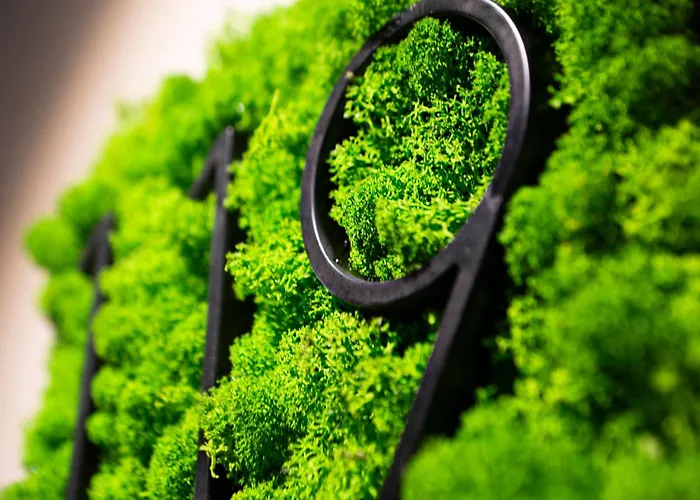 Elva Premium Inklusive Sommerpass Stubai Super Card Rehoboth Beach